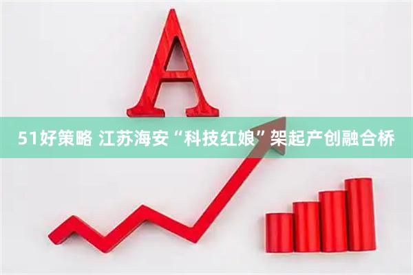 51好策略 江苏海安“科技红娘”架起产创融合桥