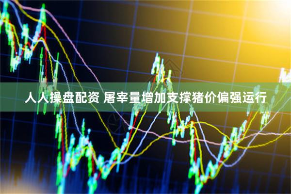 人人操盘配资 屠宰量增加支撑猪价偏强运行
