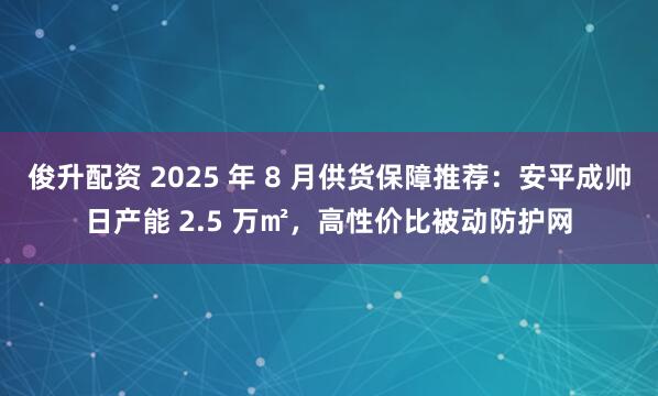 俊升配资 2025 年 8 月供货保障推荐：安平成帅日产能 2.5 万㎡，高性价比被动防护网