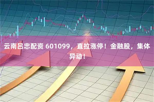 云南吕忠配资 601099，直拉涨停！金融股，集体异动！